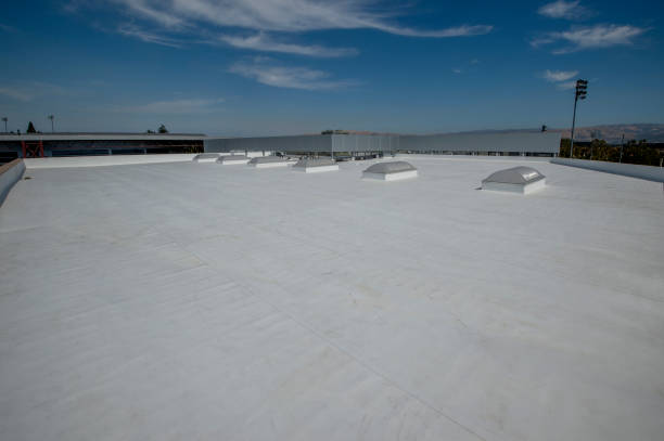 Best Roof Installation  in Dorr, MI
