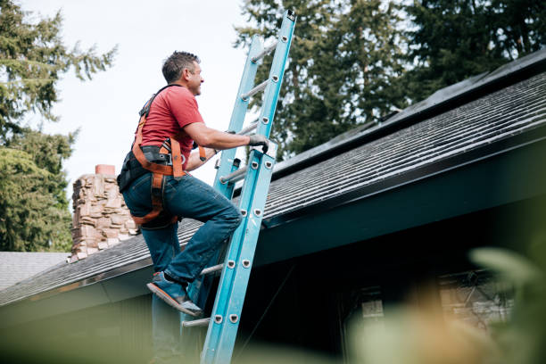Best Emergency Roof Repair Services  in Dorr, MI