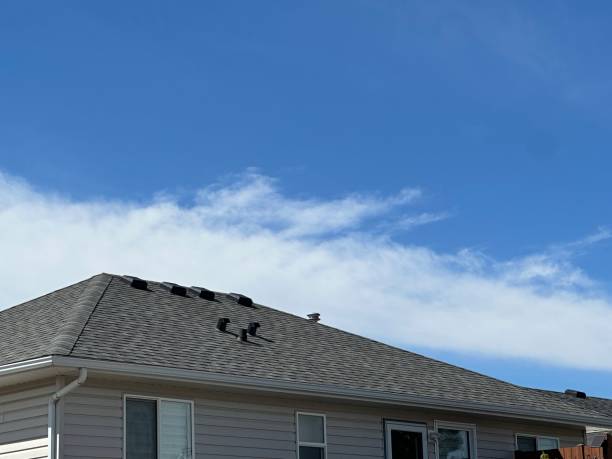 Best Roof Coating and Sealing  in Dorr, MI