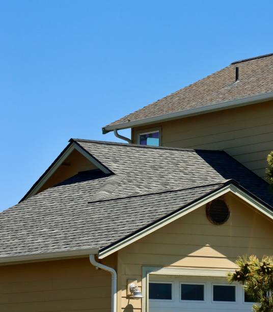 Best Flat Roofing  in Dorr, MI